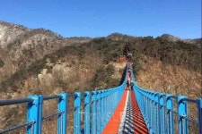 [여행과 맛집] 원주 가슴 출렁 소금산 출렁다리에서 추억만들기