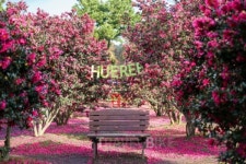 12월 떠나는 제주 추천 여행, "겨울 풍경 담은 명소는?"