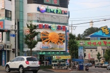 겨울바다와 항구의 낭만, 속초 삶의 현장과 동명항 맛집