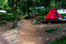 겨울에는 다른 거 없다! 용인 자연휴양림에서의 즐거운 한때와 맛집