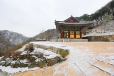 주말에 떠나는 원주 걷기 좋은 길, 가볼 만한 맛집은?