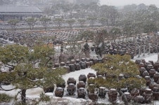 보석 같은 도시 익산 1박2일 행복여행의 기록 (1)고스락 전통장과 나바위성당