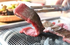 포천 겨울여행은 허브아일랜드, 스프링폴, 이동갈비맛집 순으로