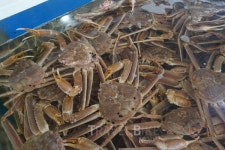 아이들과 함께 떠나는 속초 박물관 여행, 맛집은 어디로?