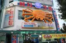 온천 갔다가 숲길 걸었네, 속초 온천여행과 맛집