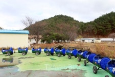 [여행과 맛집] 속초, 고성에서 자녀들과 신나는 겨울방학 체험을