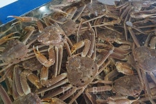 속초로 떠나는 새해맞이 여행, 속초 가볼 만한 곳 대포항 맛집 추천