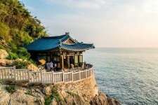 강원도 양양 3대 명소! 낙산사와 솔비치, 대게 맛집