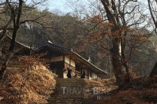 한국 정신문화의 수도 안동을 가다! 만휴정에서 쉬고, 봉정사에서 걷고