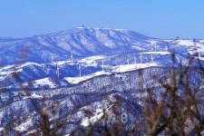 자연을 찾아 떠나는 강릉 여행, 가볼만한 곳과 맛집은?