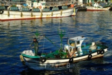 속초 동명항의 싱싱한 바다내음과 해산물 맛집