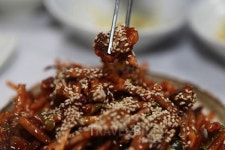 녹차밭만 있는 게 아니다 국내여행지 보성 꼼꼼히 보기