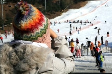 일상의 활력 채우는 용인, 가족여행으로 가볼 만한 곳은?