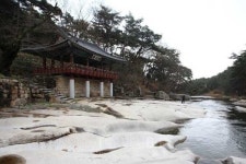 눈 없는 겨울, 호젓한 드라이브 여행 (2)가심비 갑 울산