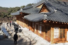 봄비와 함께 떠나는 서울 봄나들이 데이트 코스