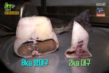 생생정보 8kg 왕대구탕, 몇 점 먹어도...