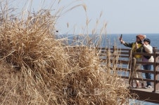 속초 당일치기 여행, 파도소리 들리는 해변산책로와 항구