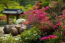 미리 준비하는 5월, 재미를 더하는 봄축제 BEST5