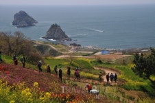 힐링을 찾아 떠나는 해파랑길, 770km-36개 시·군·구 따라 만나는 국내여행