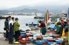 봄에 떠나면 좋은 여행지, 강원도 동명항과 속초 맛집