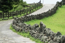 함께라서 더욱 즐거운 가정의 달, 놓치지 말아야 할 5월 제주여행