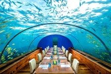 올가을 허니문, 몰디브 리조트 찾는다면 작고 순결한 열대 섬 추천