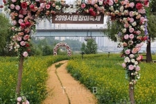 '2019 서울장미축제' 5㎞ 장미 꽃길…천만송이 즐기세요