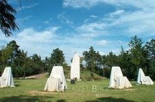 여행가기 좋은 6월, 김포 가볼만한곳과 맛집은 어디?