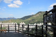 안산 자락길, 1년 시한부 서울 다람쥐가 보낸 미세먼지 SOS