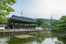 멀리가지 마세요 도심 특급호텔서 여름 호캉스