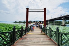 양평 힐링 여행 (2) 양평 두물머리 세미원 생태관광과 두물머리 보기까지