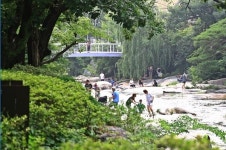 서울 근교 시원한 계곡 여행, 가볼 만한 곳은?