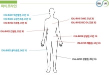 [강소기업] 세렌라이프, 줄기세포 기능 높여 세계 최초 신약 개발