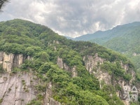 무릉계곡 절경과 보랏빛 정원… 자연 벗삼아 노닐러 동해로 떠나볼까