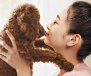 국정과제 펫보험, 지지부진...이해관계자 입장 차에 활성화 첩첩산중