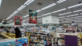 [포커스 이슈] K국민가게 된 다이소, 온라인 잡고 매출 3조 시대 열까