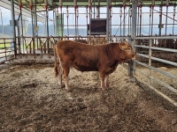 [1.5°C HOW 인터뷰] 김문석 중우축산 대표 저탄소 한우가 축산의 미래