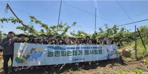 전력거래소 반디봉사단, 농번기 맞이 일손 돕기 봉사활동 진행