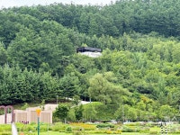 자연 속 힐링 공간 강원랜드에서 웰니스 120% 즐기는 법