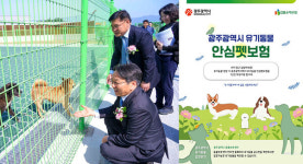 광주시, 유기동물 입양 1년간 펫보험료 전액 지원