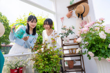 40주년 맞은 에버랜드 장미축제 16일 개막… 새로운 콘셉트 로로티 주목