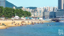 전남 해수욕장 4選… 풍경·맛·여유 다 잡았다
