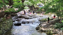 전통과 자연이 어우러진 여름 쉼터, 순천 용오름마을