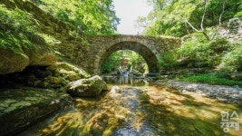 갈대숲 속 하룻밤, 산사에서 명상… 순천서 즐기는 유산 여행