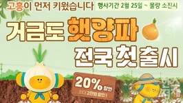 고흥몰, 거금도 햇양파 첫 출시