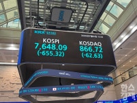 [속보] '삼전닉스'↓…코스피, 8% 급락