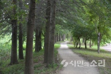 길위에서 역사를 만나다(12)-추암로