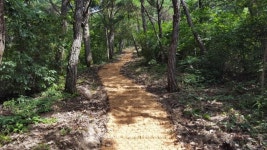 화순군, 자연친화적인 숲길 조성 박차
