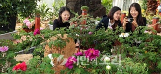 볼 것, 즐길 것 넘쳐나는 강진으로 GoGo~