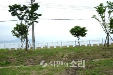전남 장흥 청정갯벌로 떠나는 여행